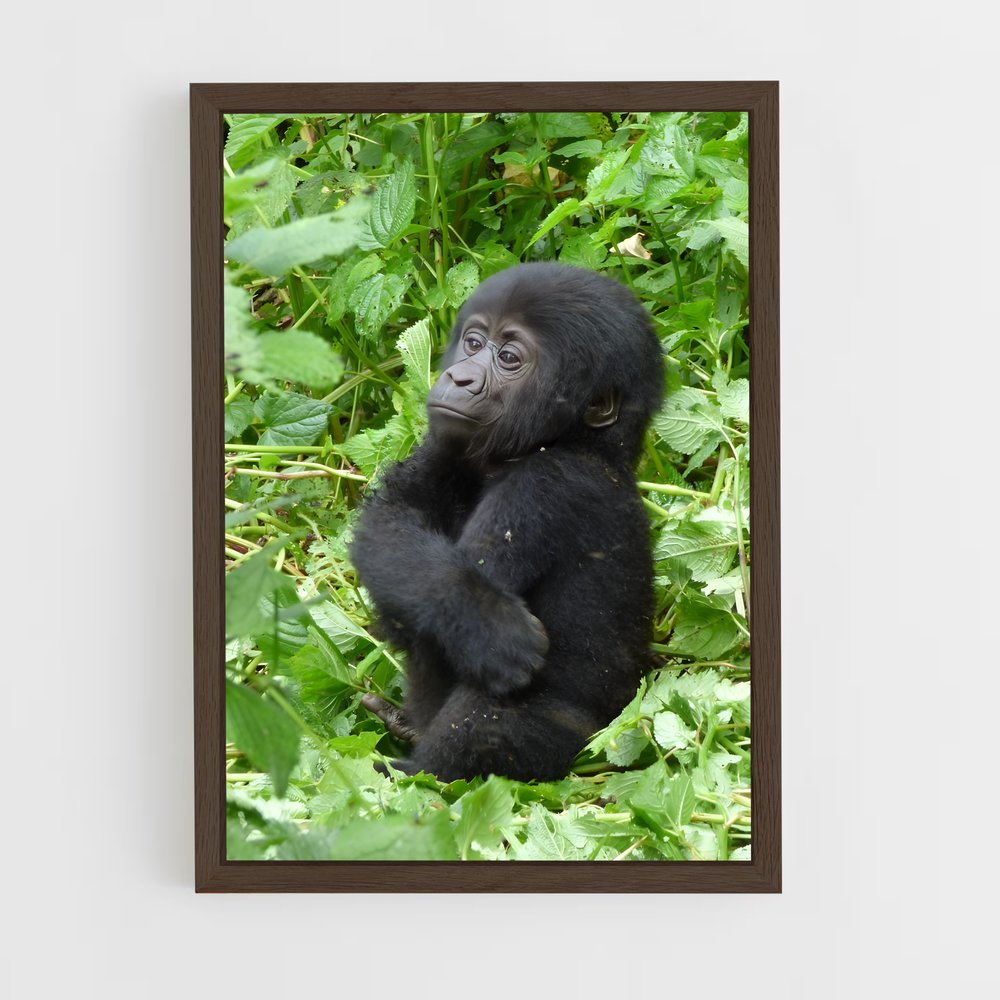 ap-gorilla-7 cadre Bois foncé