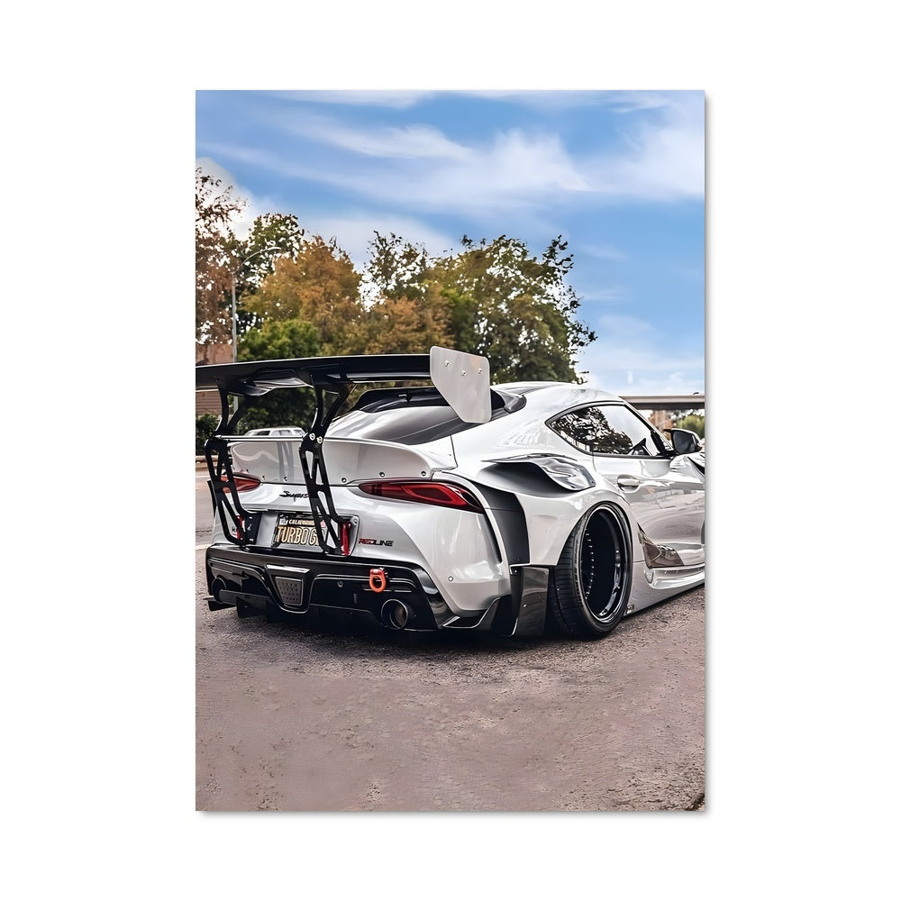 Poster Supra Sportive