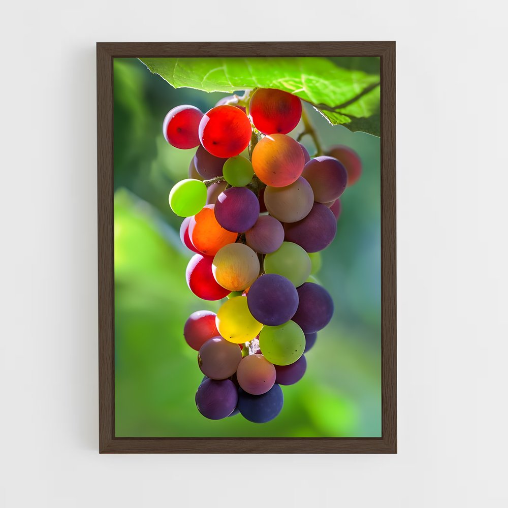 ap-grapes-4 cadre Bois foncé