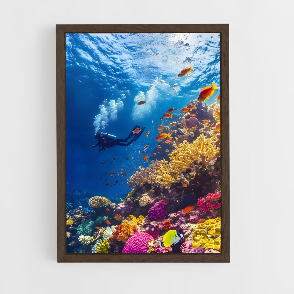 ap-great barrier reef-2 cadre Bois foncé