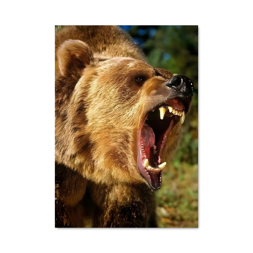 Poster Grizzly bear 83664