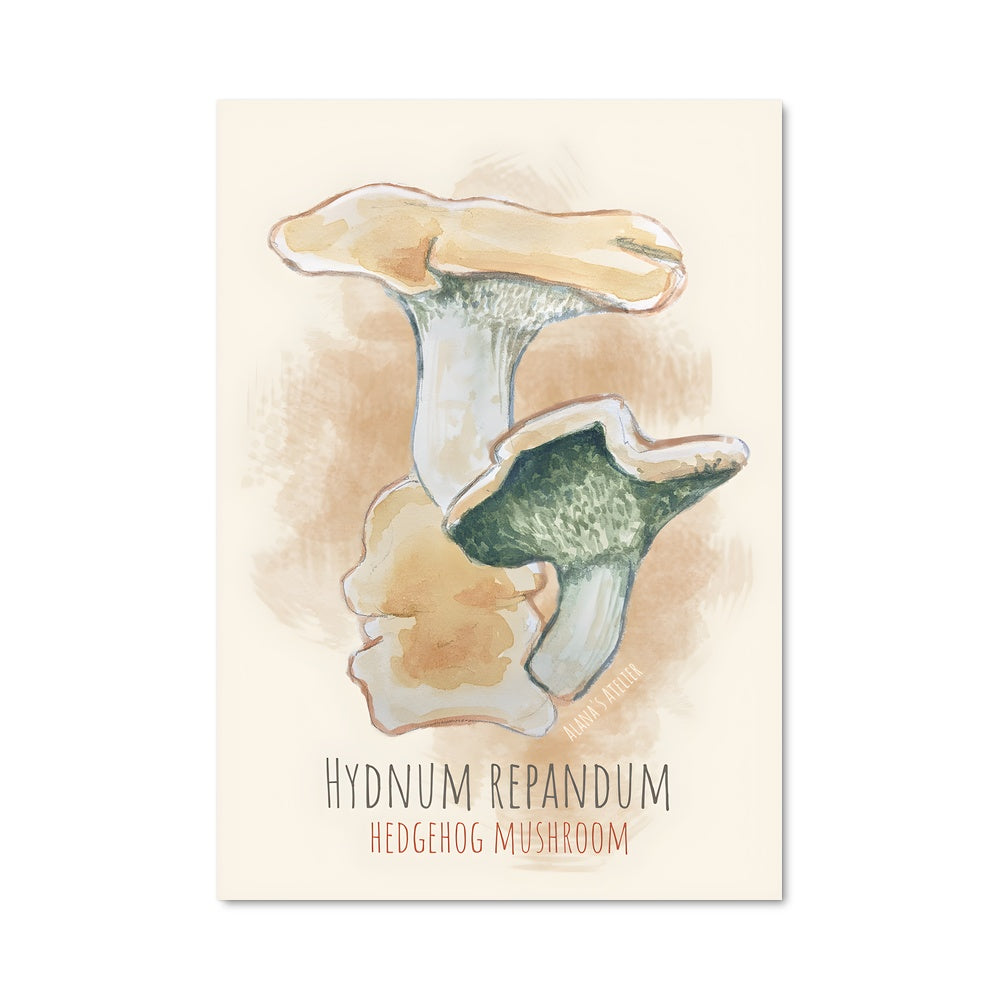 Poster Champignon Hynm