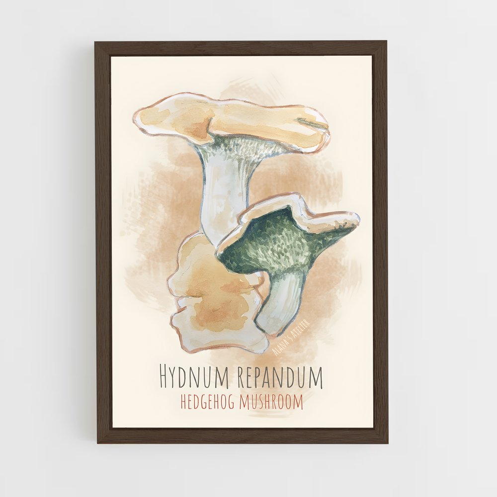 ap-hedgehog mushroom-3 cadre Bois foncé