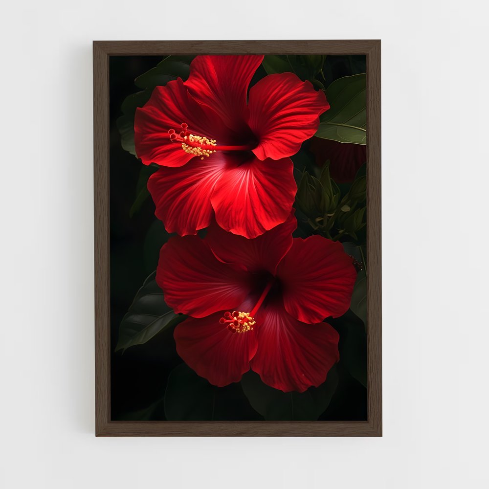 ap-hibiscus-1 cadre Bois foncé