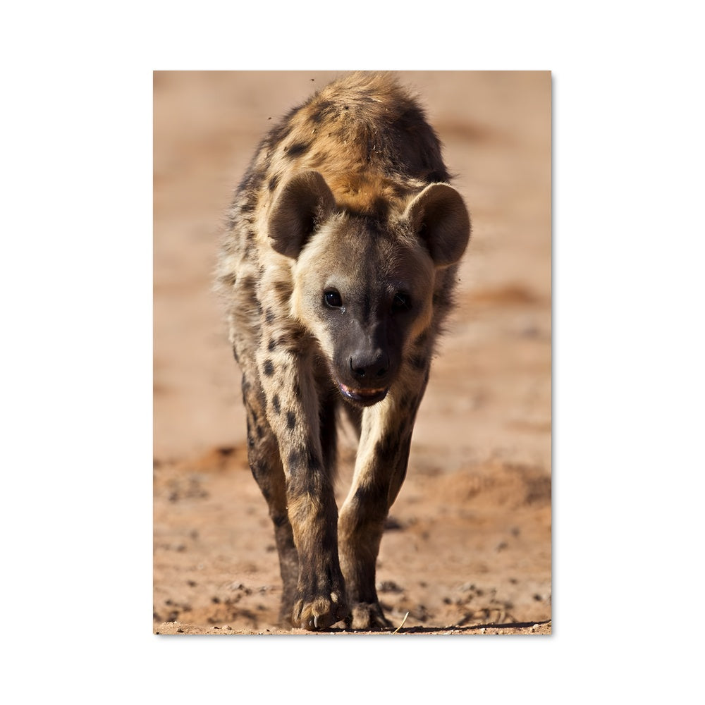 Poster La Marche Sauvage