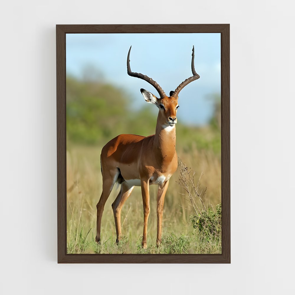 ap-impala-1 cadre Bois foncé