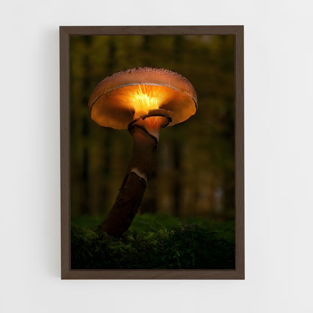 ap-jack o lantern-4 cadre Bois foncé