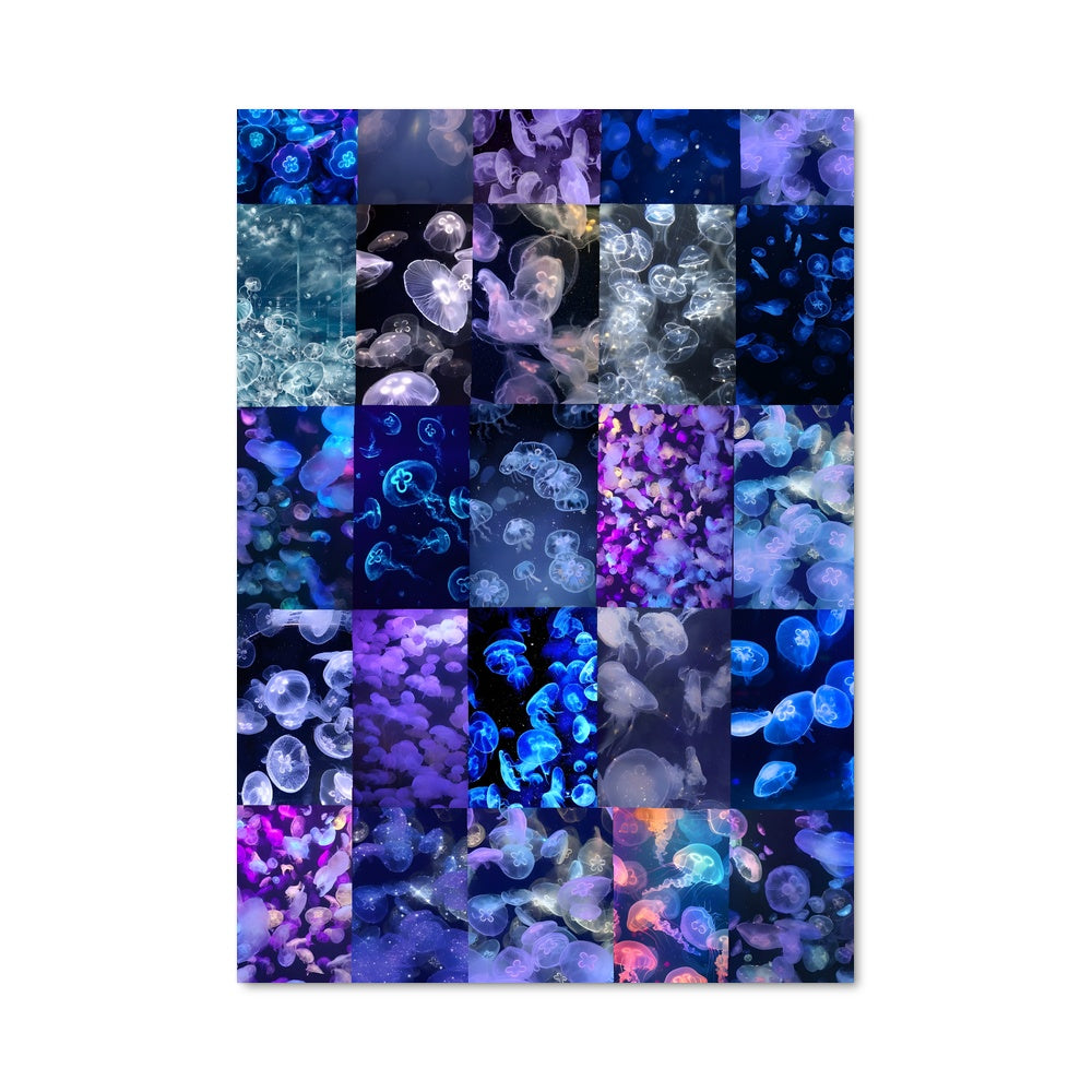 Poster Danse des Méduses