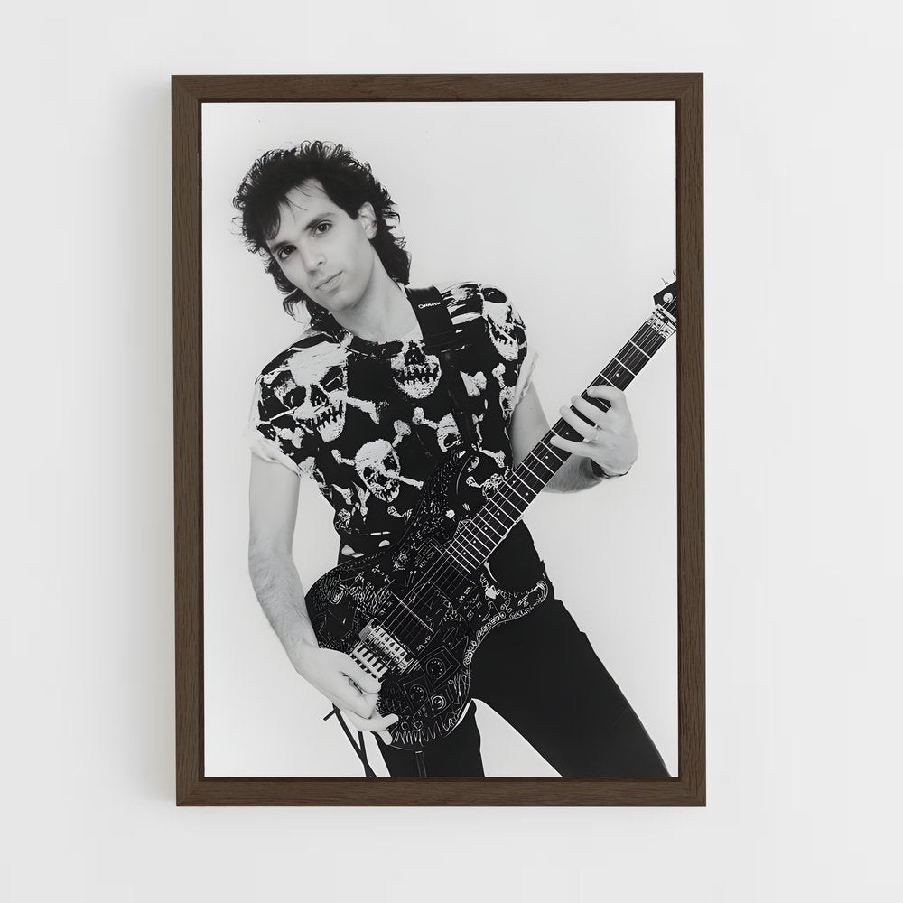 ap-joe satriani-10 cadre Bois foncé