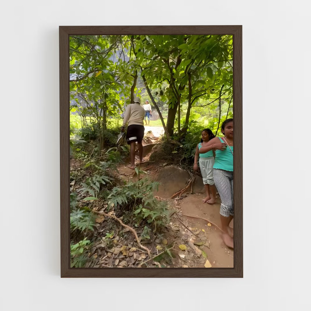 ap-karera falls-3 cadre Bois foncé