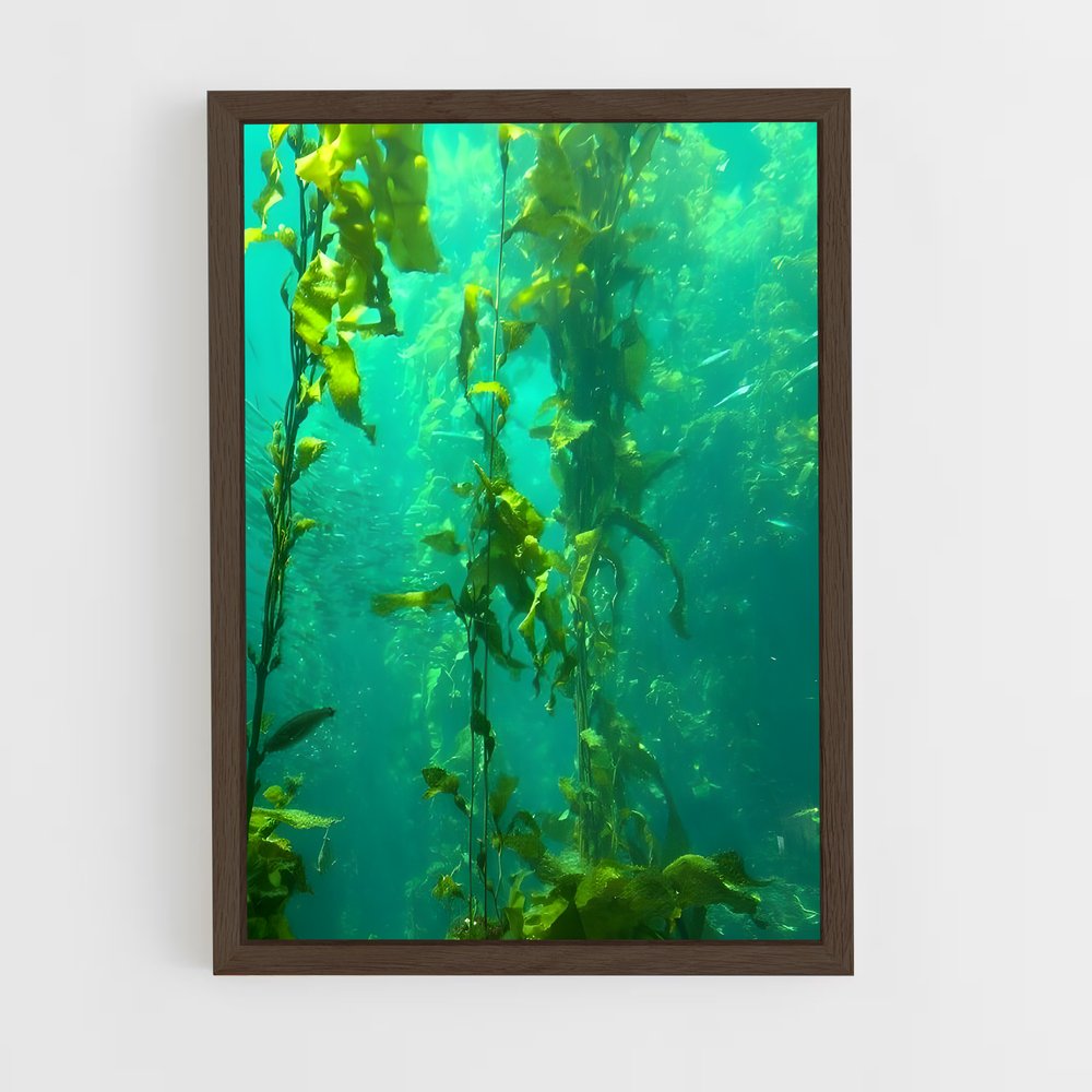 ap-kelp-5 cadre Bois foncé