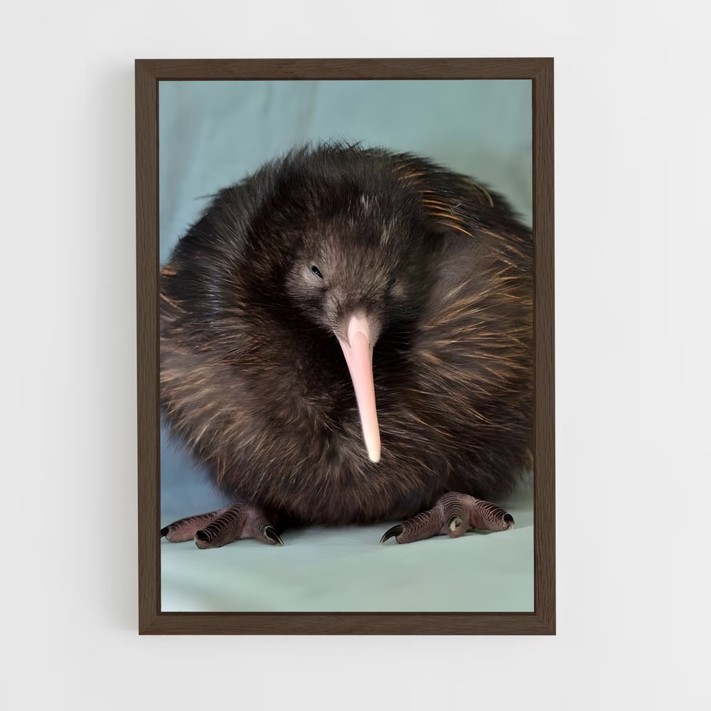 ap-kiwi-14 cadre Bois foncé