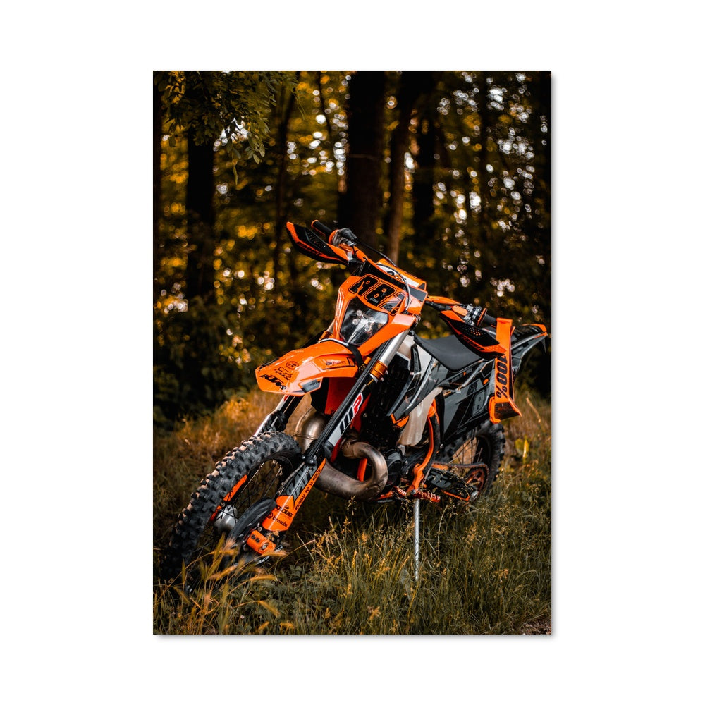 Poster Sentier Sauvage