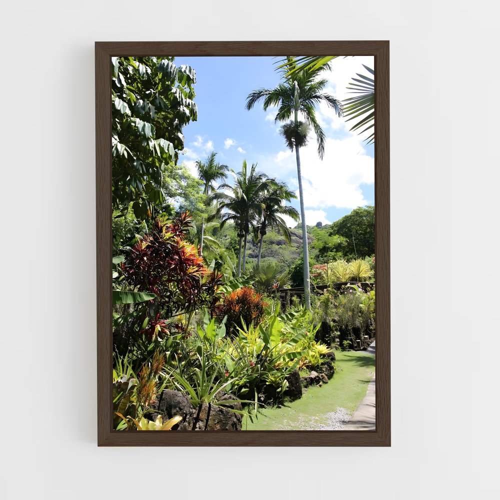 ap-lautoka-1 cadre Bois foncé