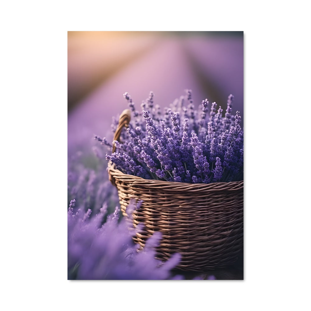 Poster Lavande en Panier
