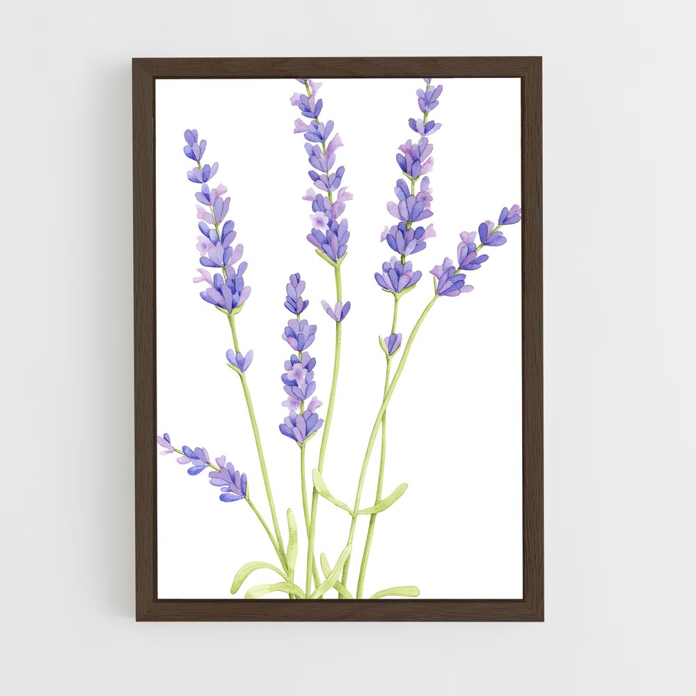 ap-lavender-7 cadre Bois foncé