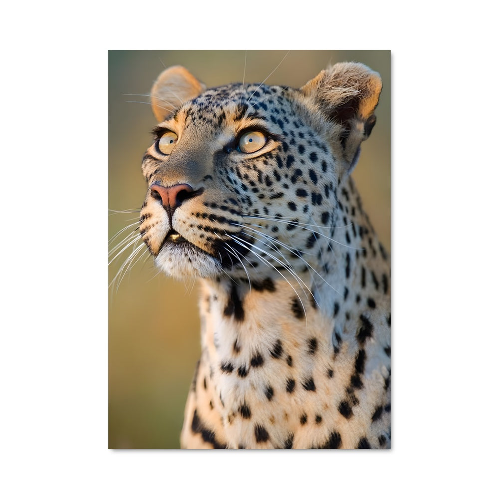 Poster Leopard 83903