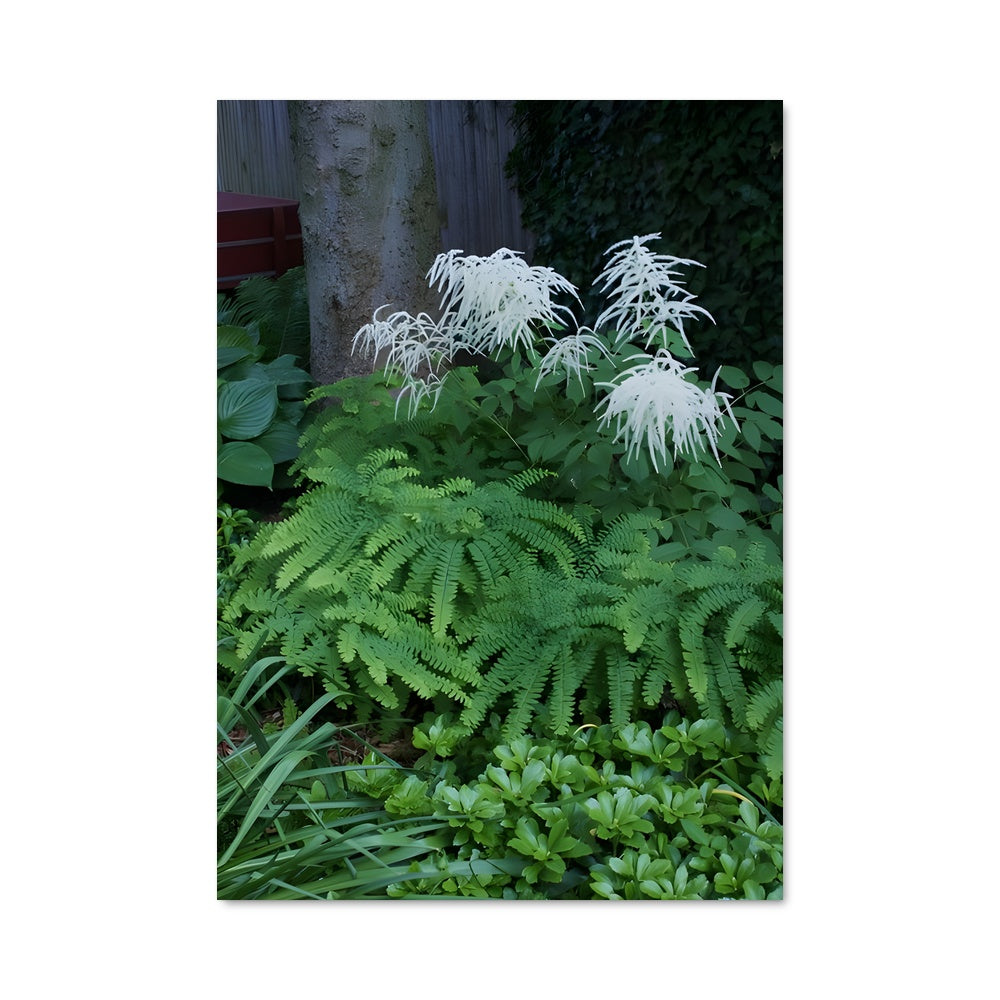 Poster Maidenhair fern 96410