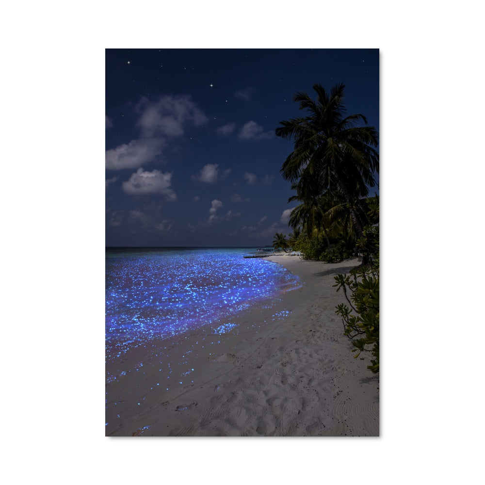 Poster Paradis Bleu