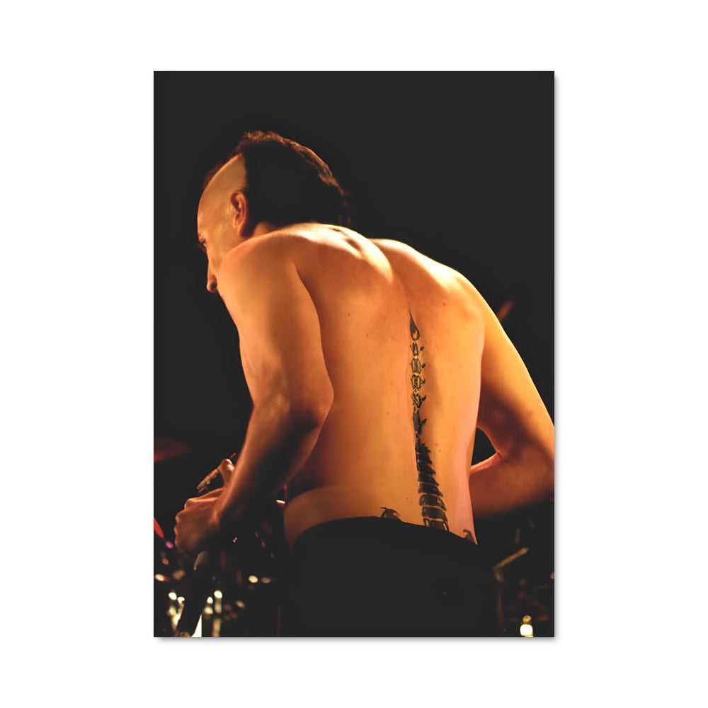 Poster Maynard james keenan 56870