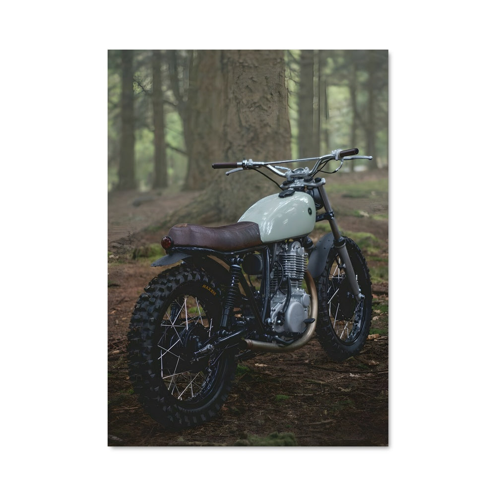 Poster Riders in the Woods