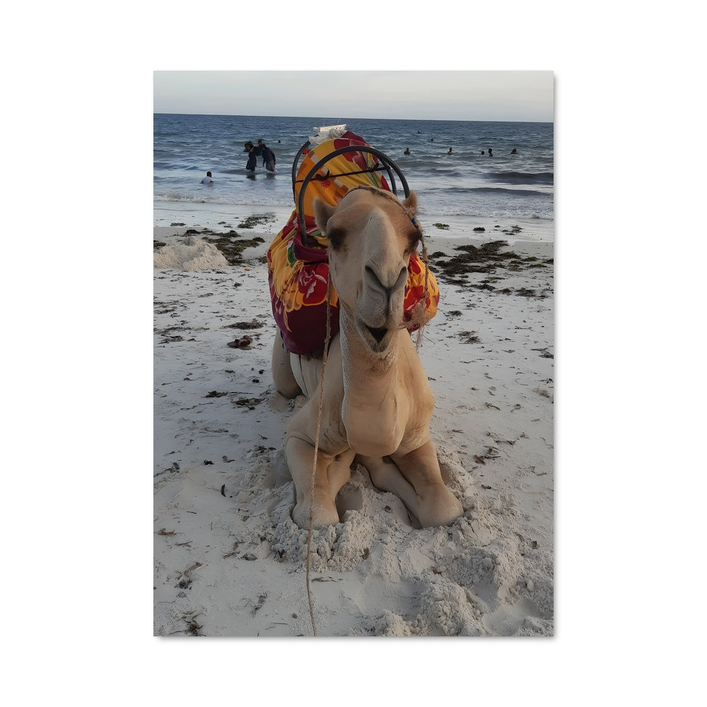 Poster Plage de Mombasa