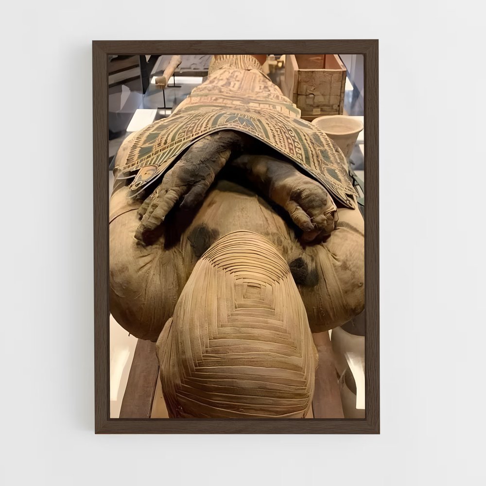 ap-mummy-1 cadre Bois foncé