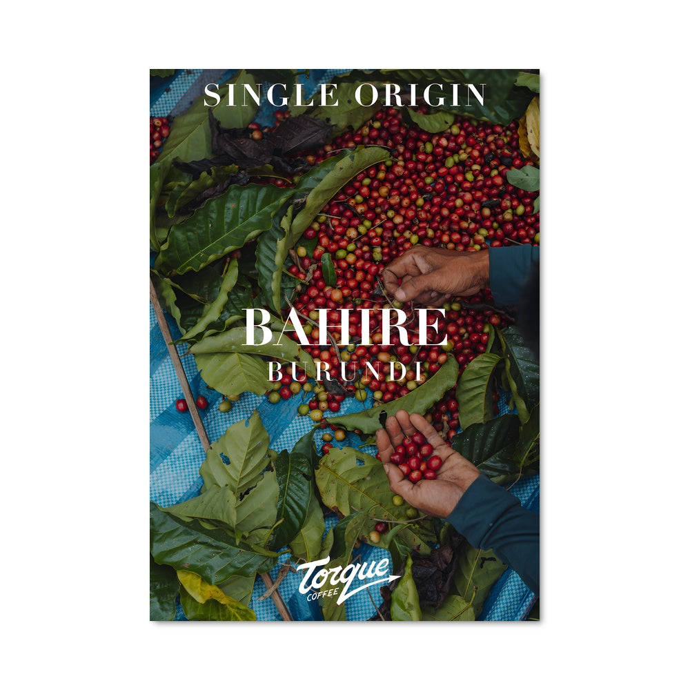 Poster La Récolte de Cher