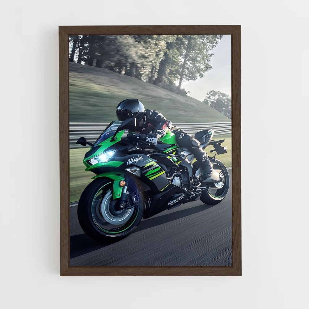 ap-ninja 300-2 cadre Bois foncé