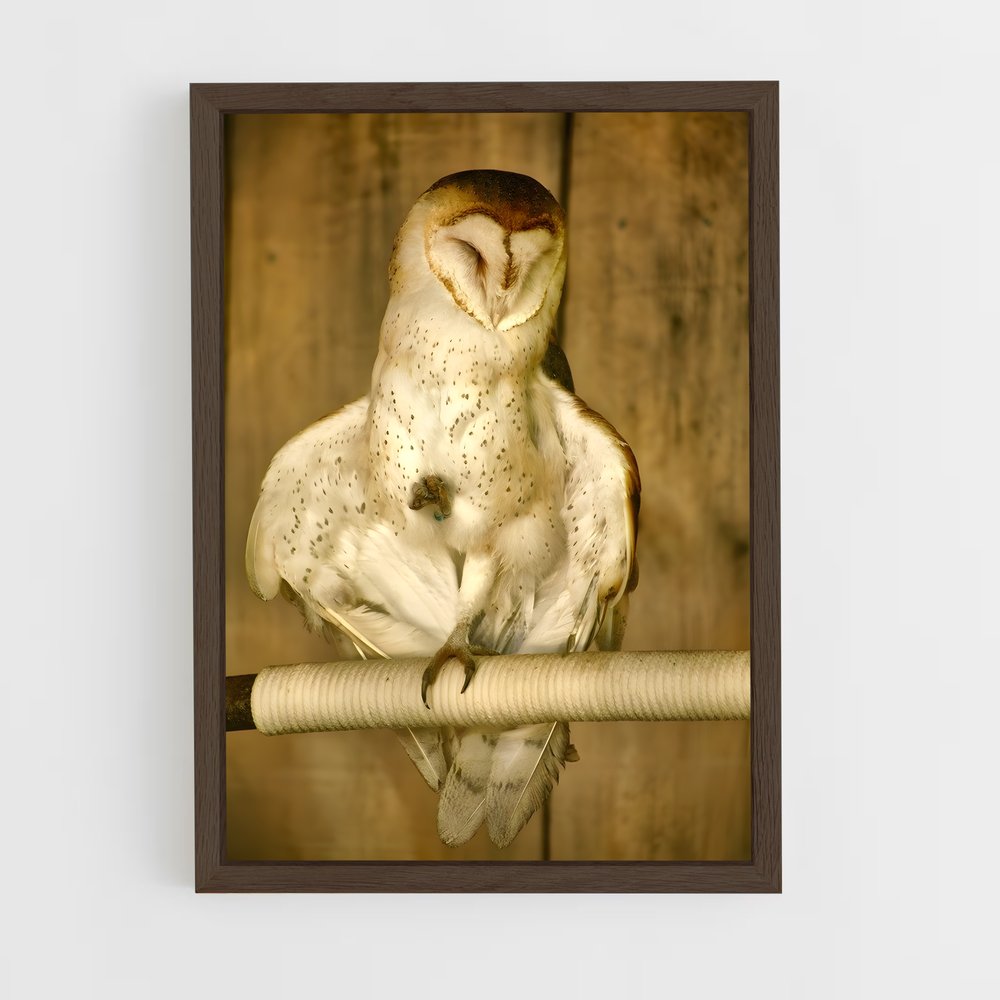 ap-owl-13 cadre Bois foncé