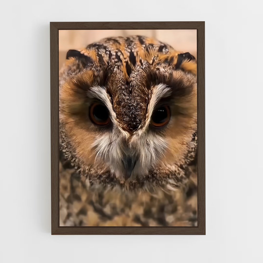 ap-owl-6 cadre Bois foncé