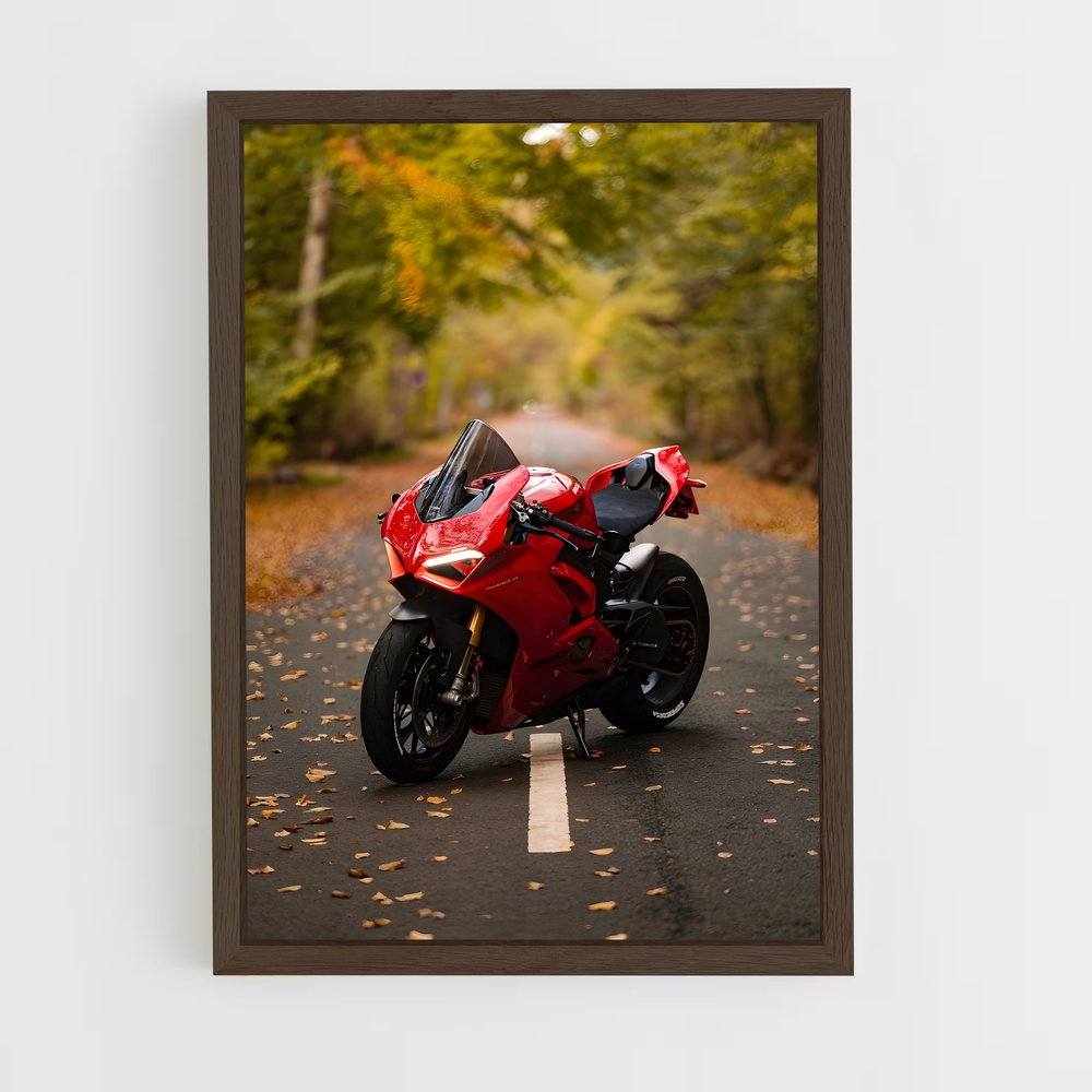 ap-panigale v4-2 cadre Bois foncé