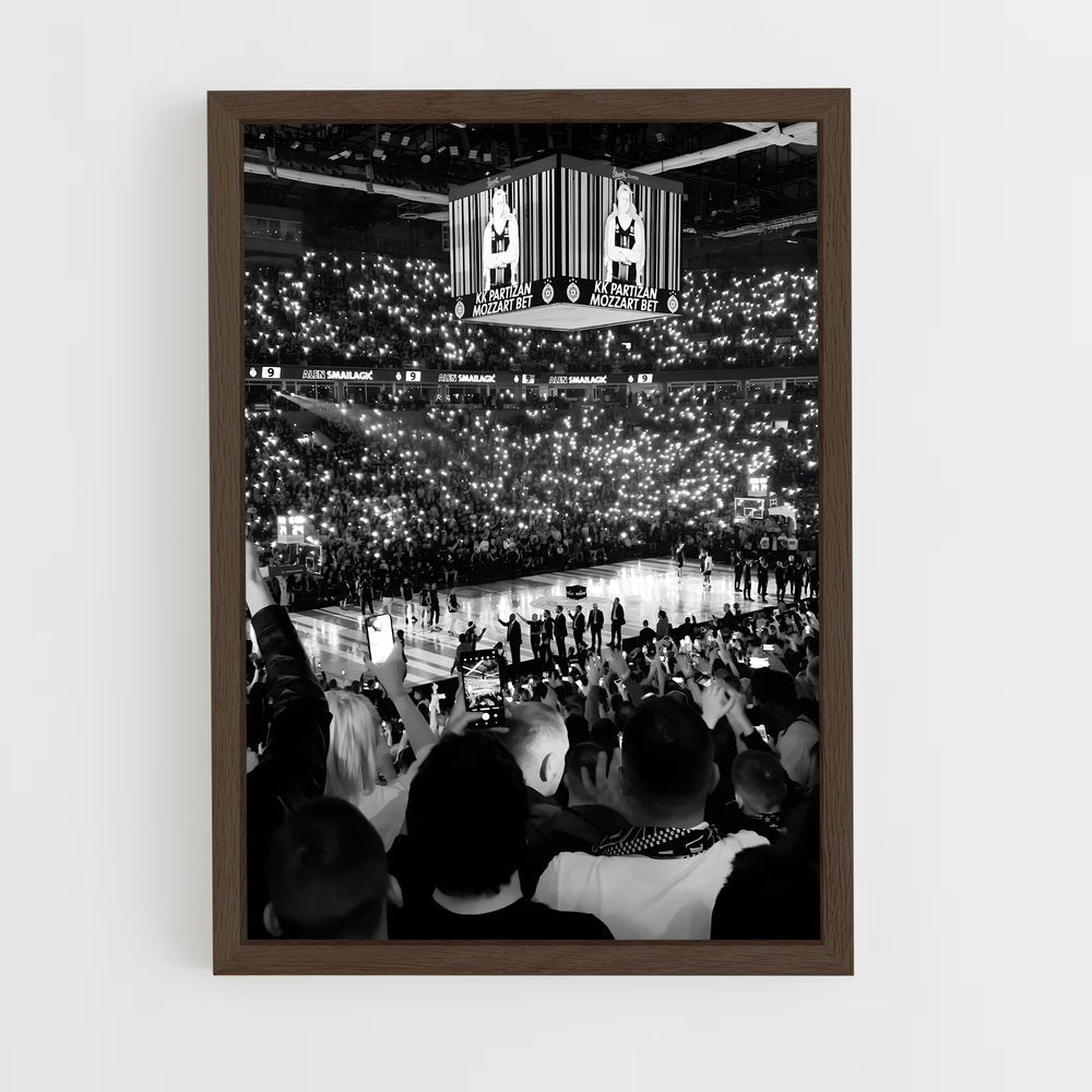 ap-partizan belgrade basketball-3 cadre Bois foncé
