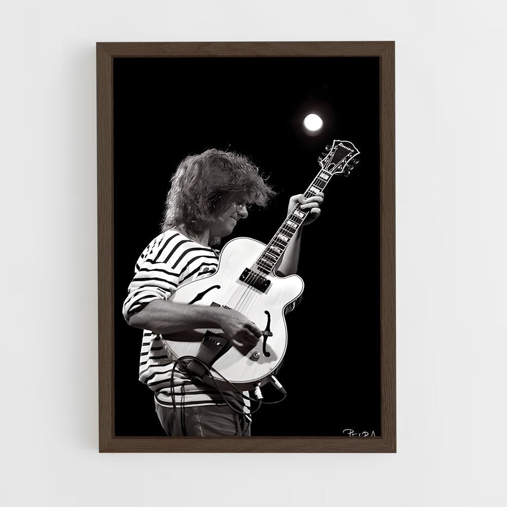 ap-pat metheny-4 cadre Bois foncé