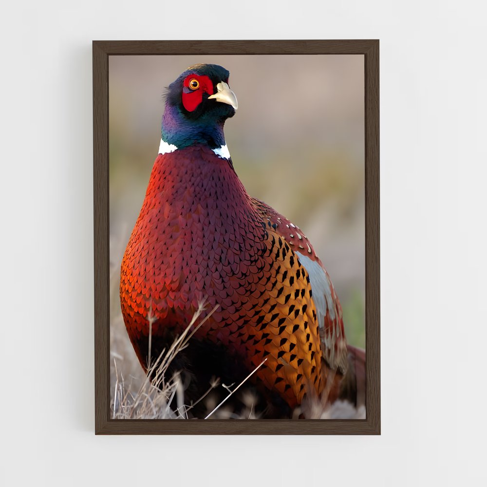 ap-pheasant-5 cadre Bois foncé