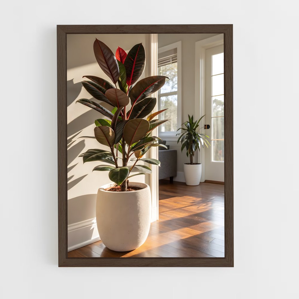 ap-plant-12 cadre Bois foncé