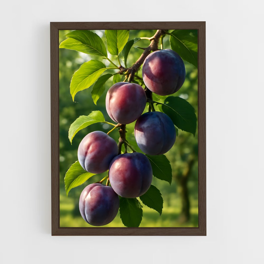 ap-plum-4 cadre Bois foncé