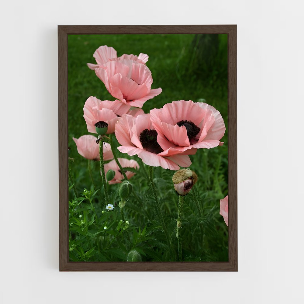 ap-poppy-12 cadre Bois foncé