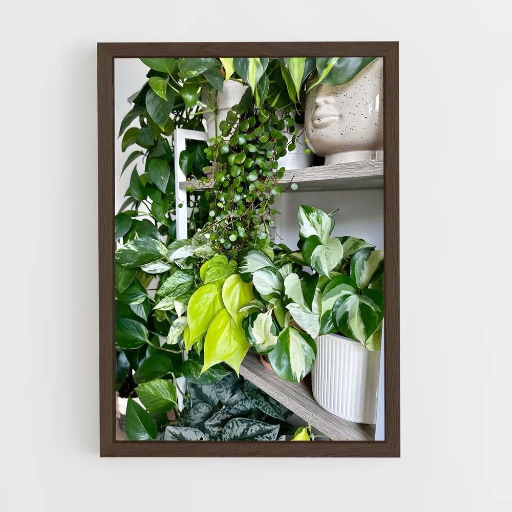 ap-pothos-1 cadre Bois foncé