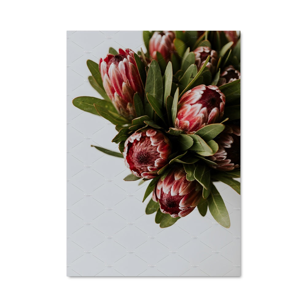 Poster Bouquet de Proteas