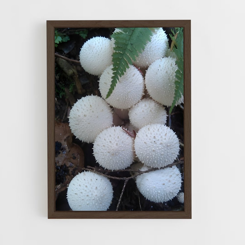 ap-puffball-1 cadre Bois foncé