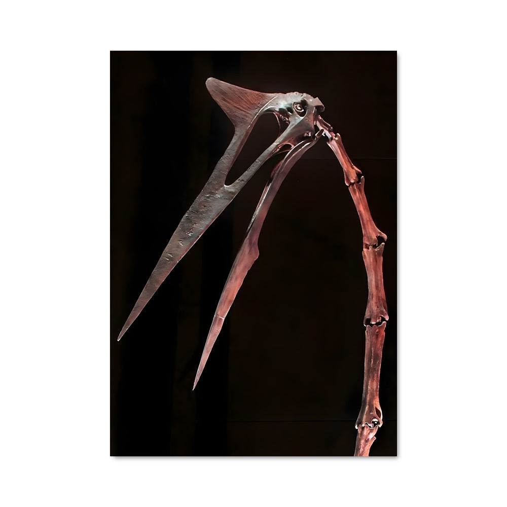 Poster L'Envol du Quetzal