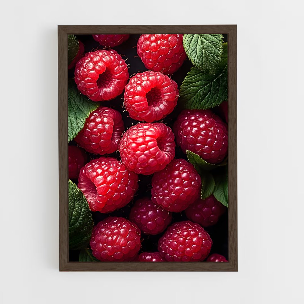 ap-raspberry-2 cadre Bois foncé