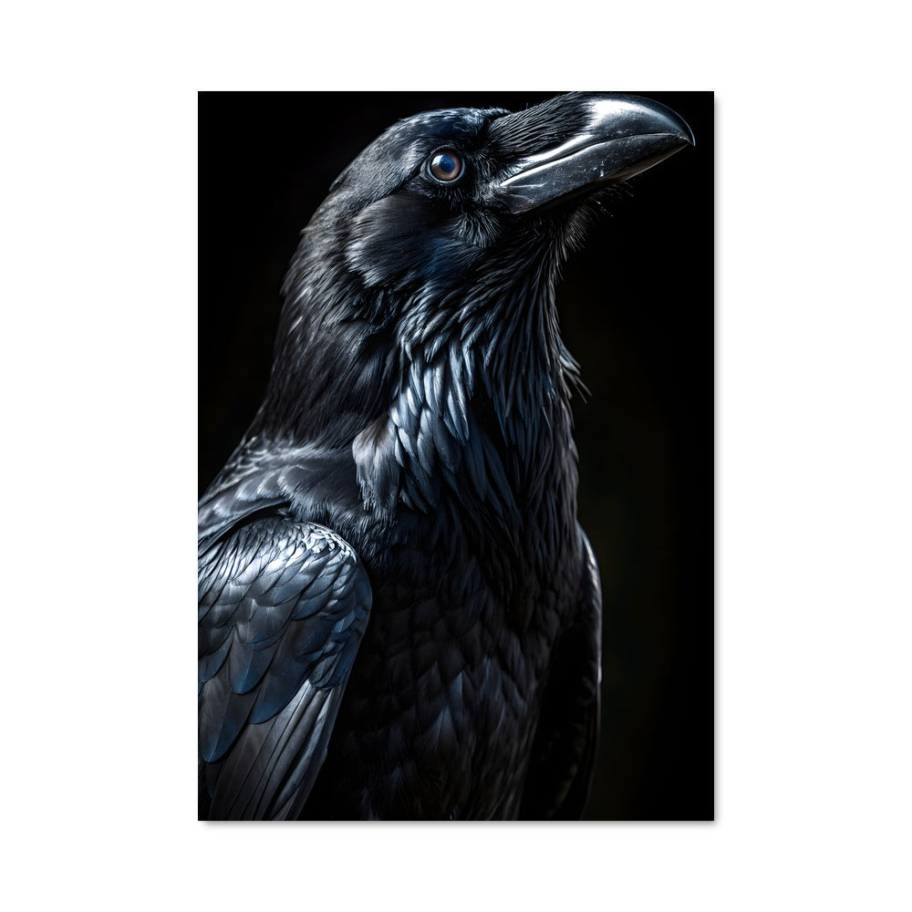 Poster Oeil de Corbeau