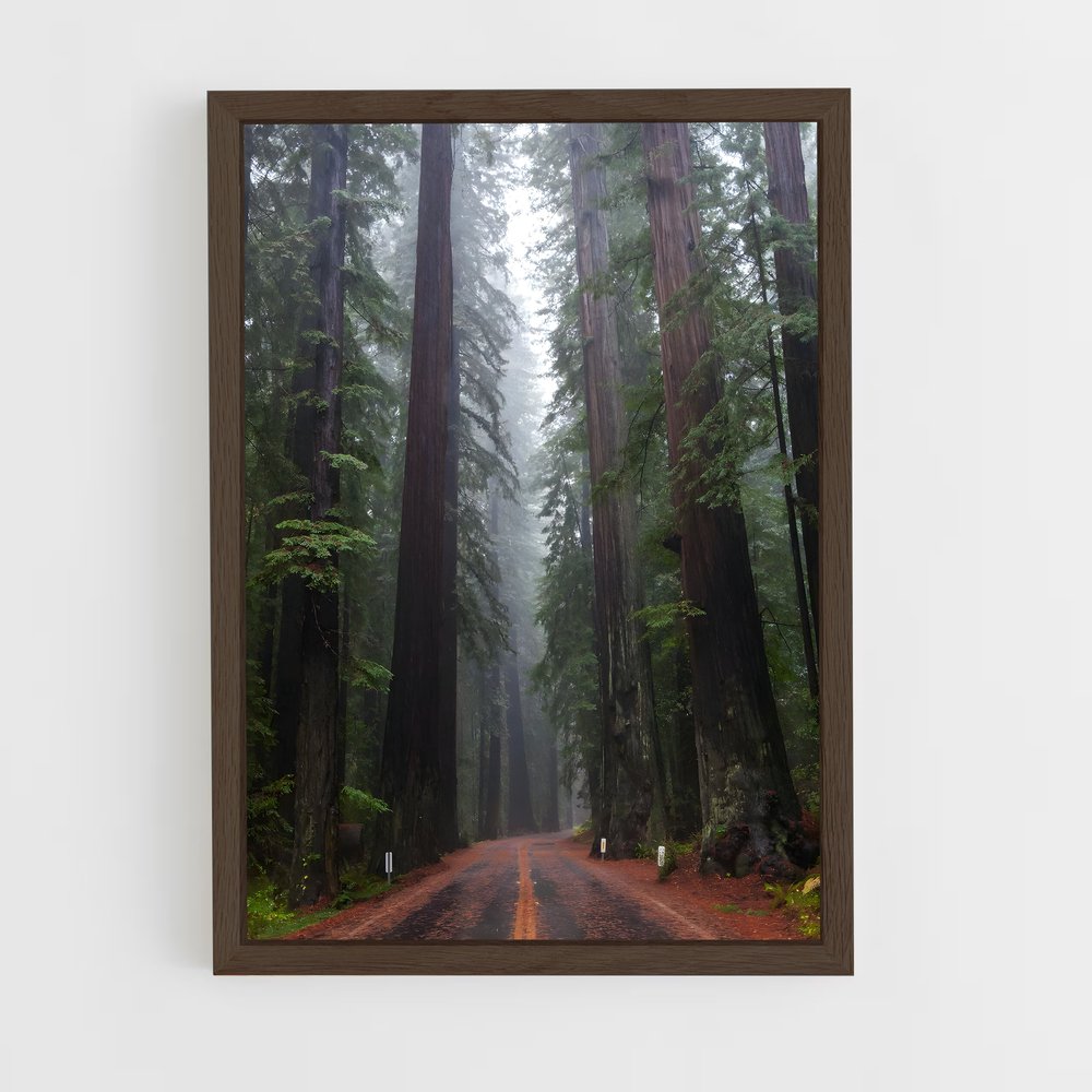 ap-redwood forest-1 cadre Bois foncé