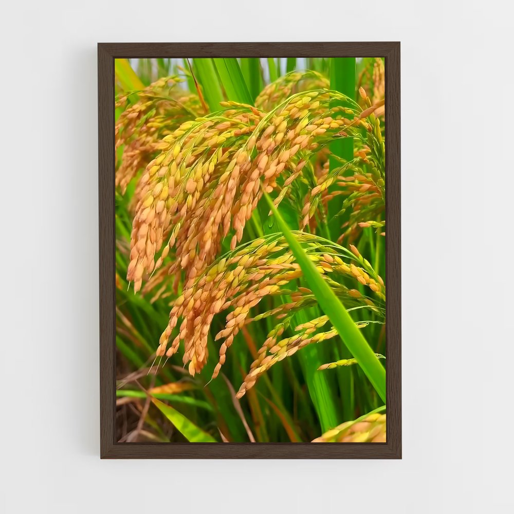 ap-rice-3 cadre Bois foncé