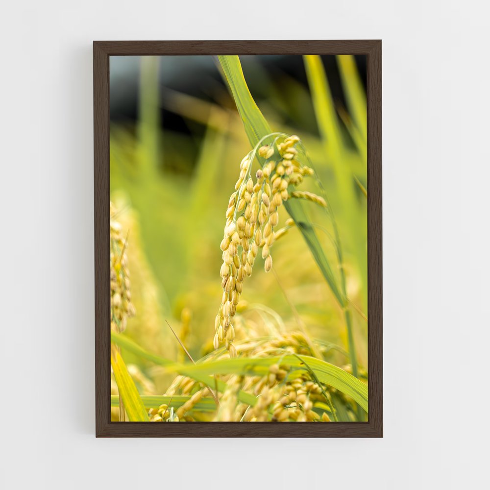 ap-rice-6 cadre Bois foncé