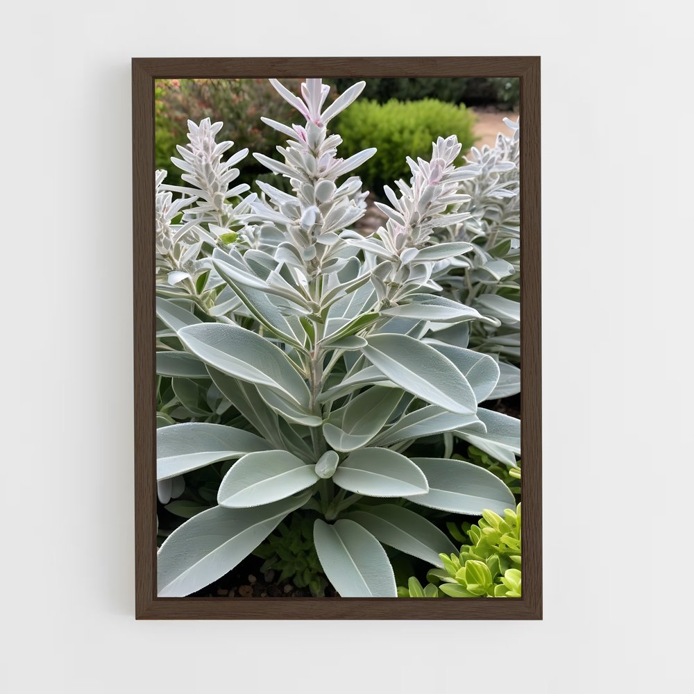 ap-sage-11 cadre Bois foncé