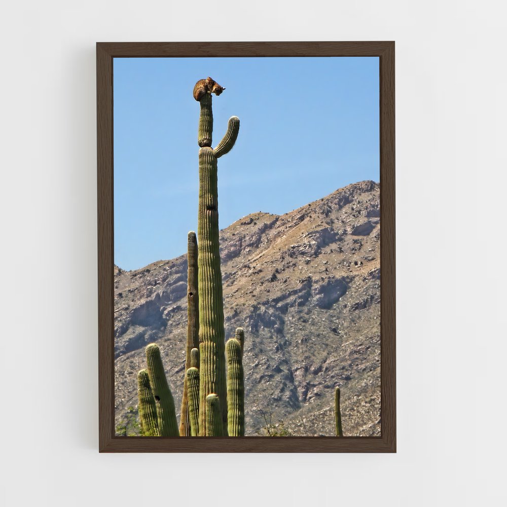 ap-saguaro-3 cadre Bois foncé