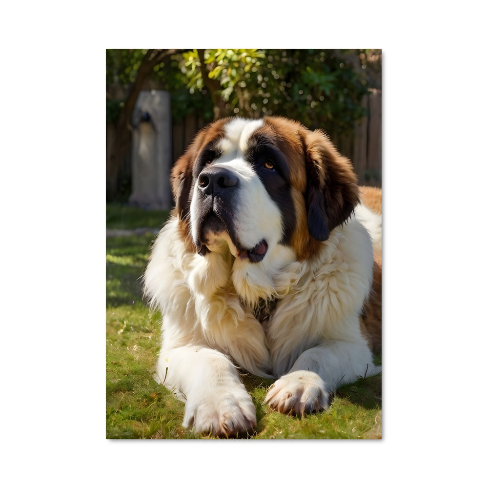 Poster The Dreaming Saint Bernard – Aesthetic Posters